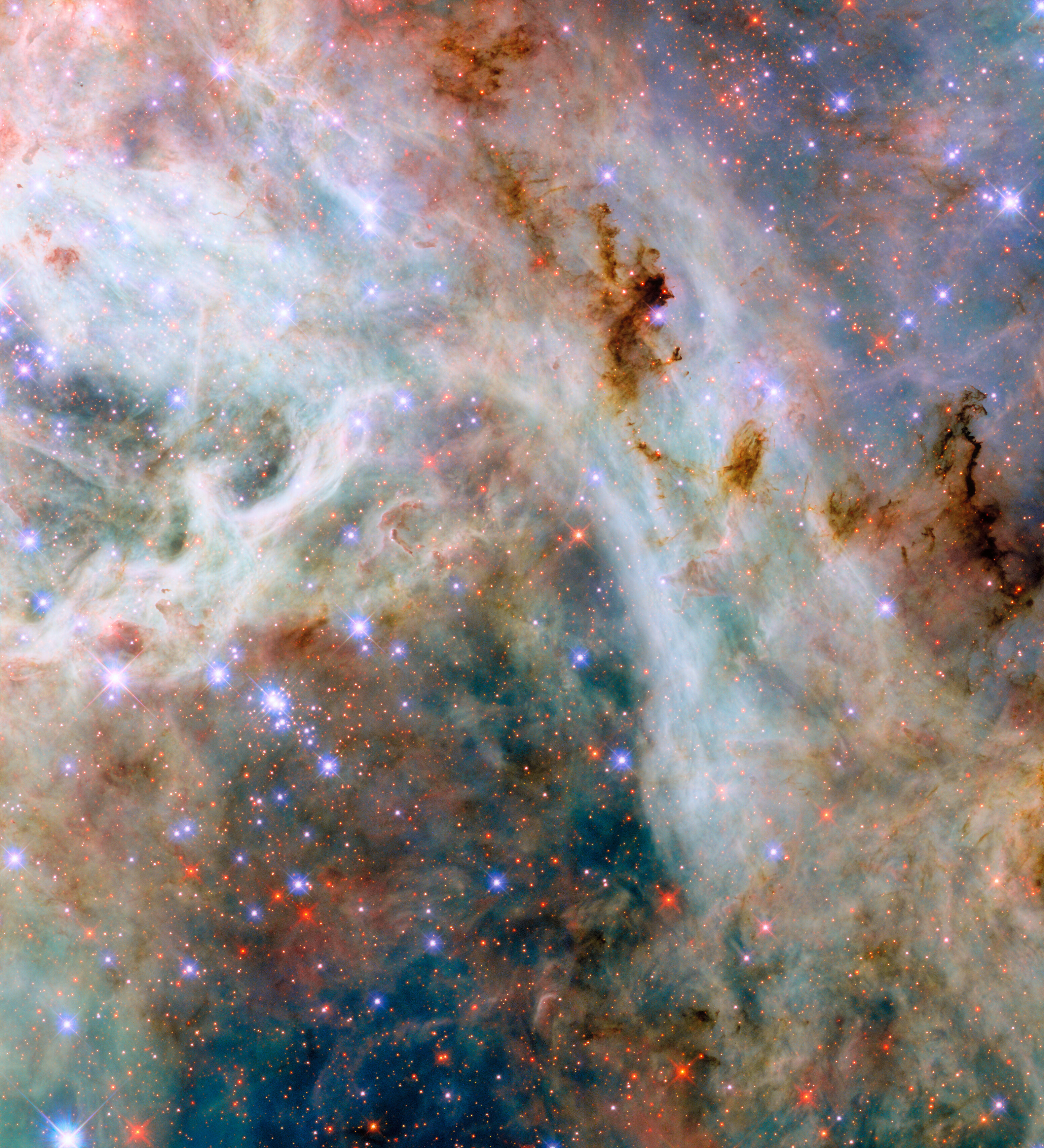 A portion of the Tarantula Nebula, made of variously colored layers of dust clouds. One upper layer is dark reddish dust which is dense and obscures light, in places so dense that it appears black. A middle layer holds pale clouds that are thick like curling wisps of smoke. They form a broad bow across the center of the image. Many small, bright stars lie throughout the nebula. They appear as blue, purple or red depending on depth.
